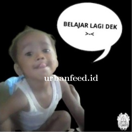 Anaktoto Bandar Togel
